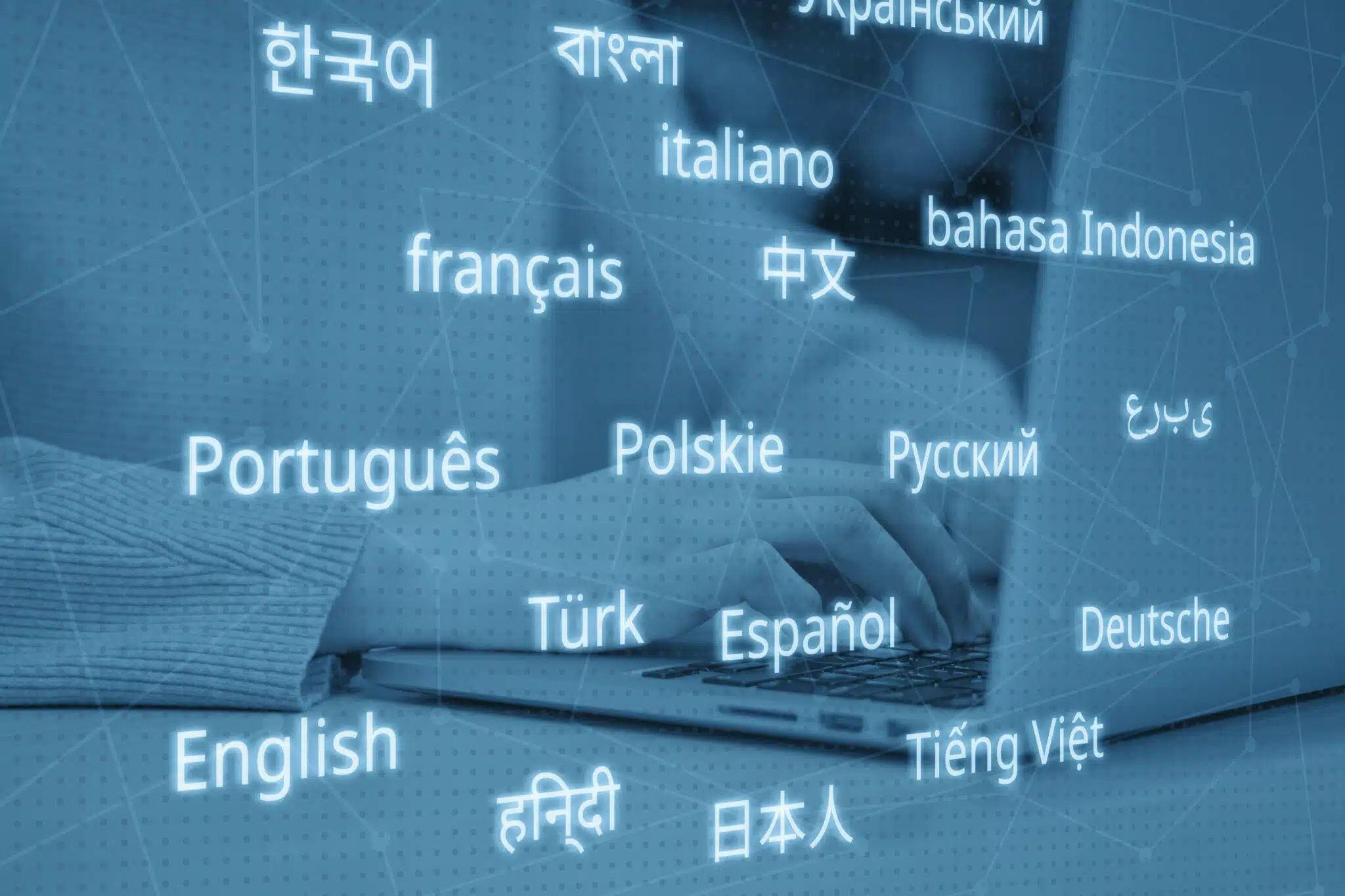 Language Access is More Important than Ever