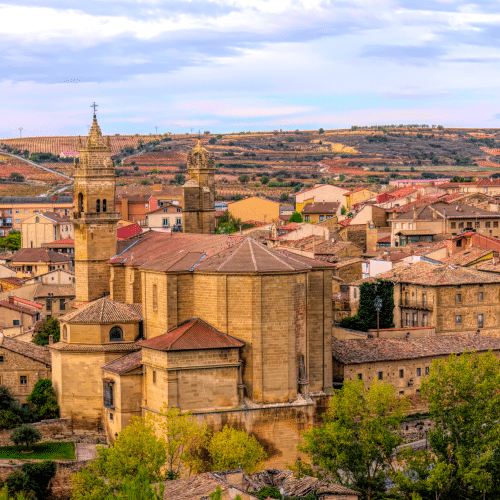 Propio LS Acquires Telelanguage