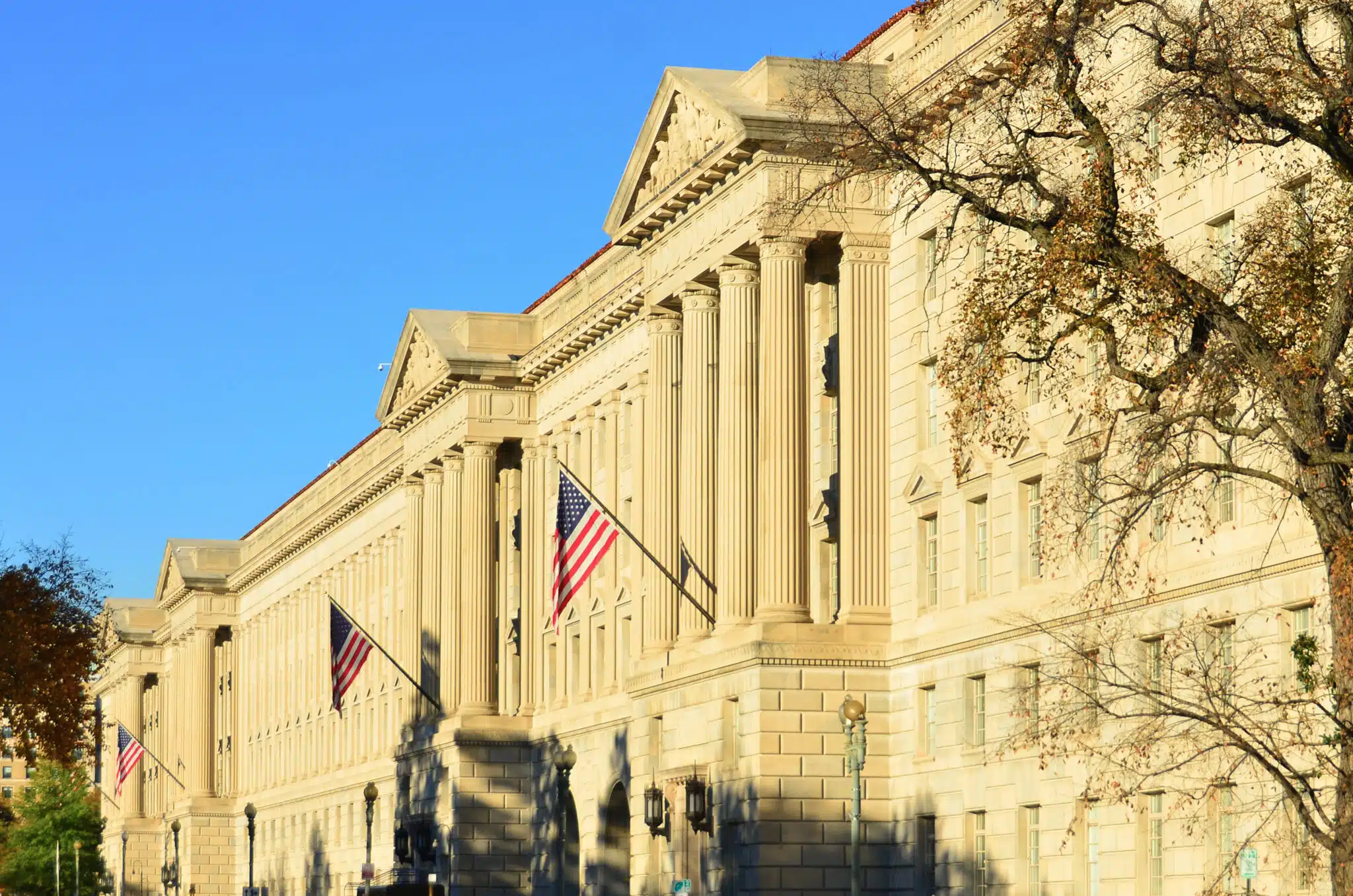 Three Ways Language Access Helps Government Agencies