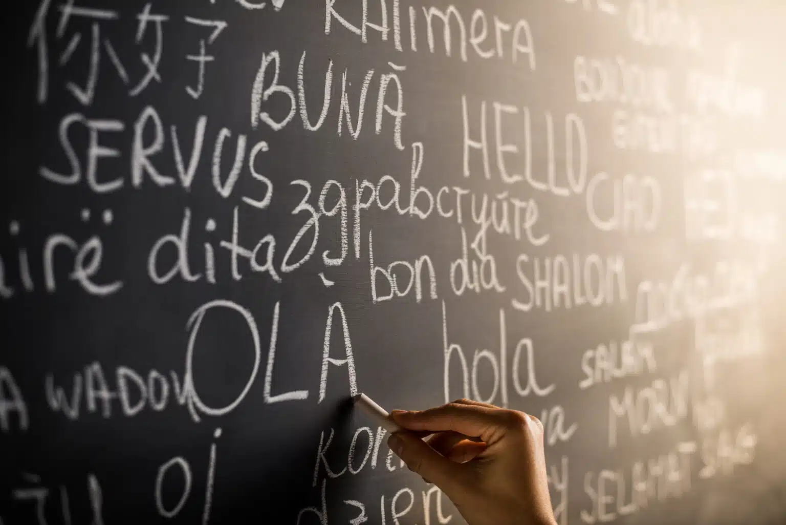 Essential translation services to market your industry