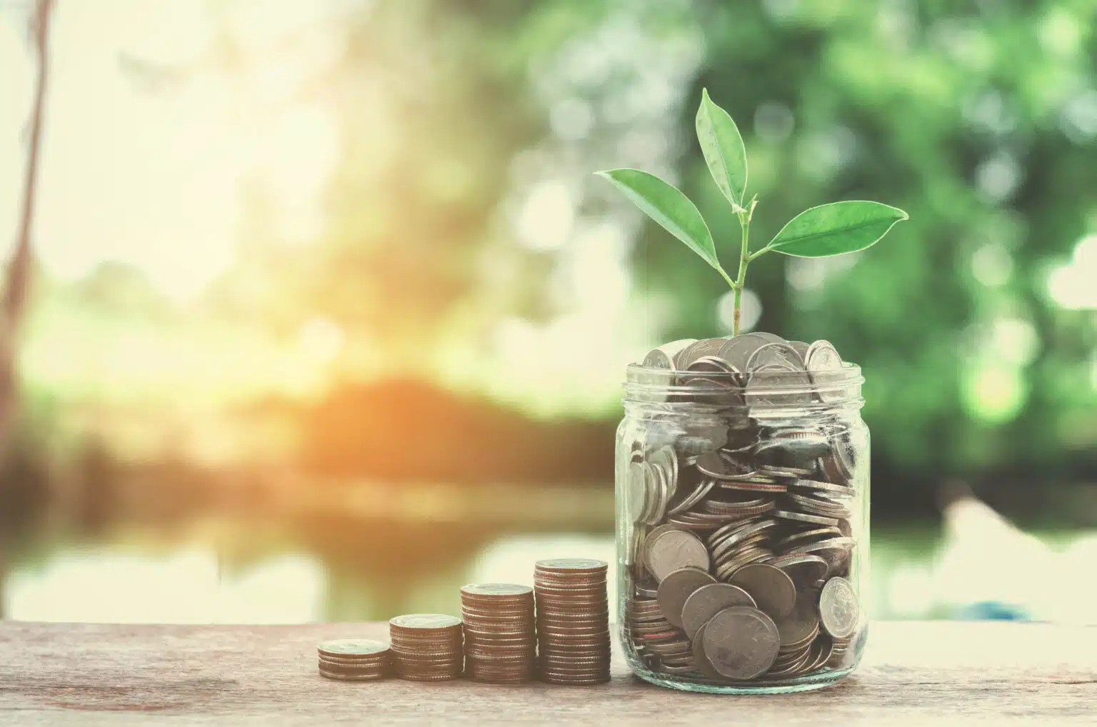Translation services for credit unions
